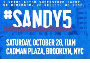 Sandy#5.jpg